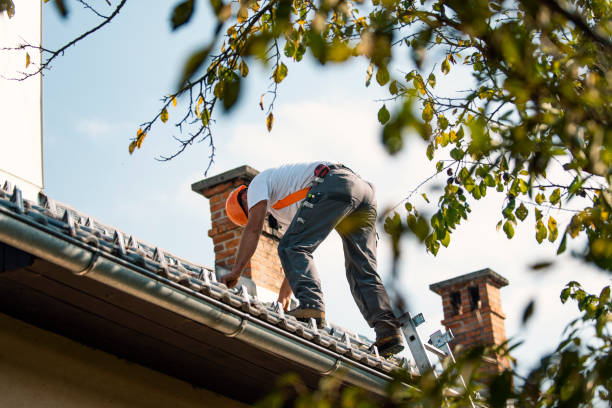 Best Flat Roof Repair Services  in Rossvle, IL