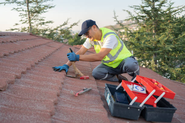 Best Local Roofing Companies  in Rossvle, IL